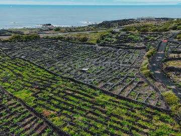 Terreno para Venda em Madalena