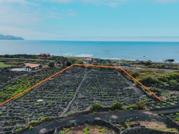 Terreno para Venda em Madalena