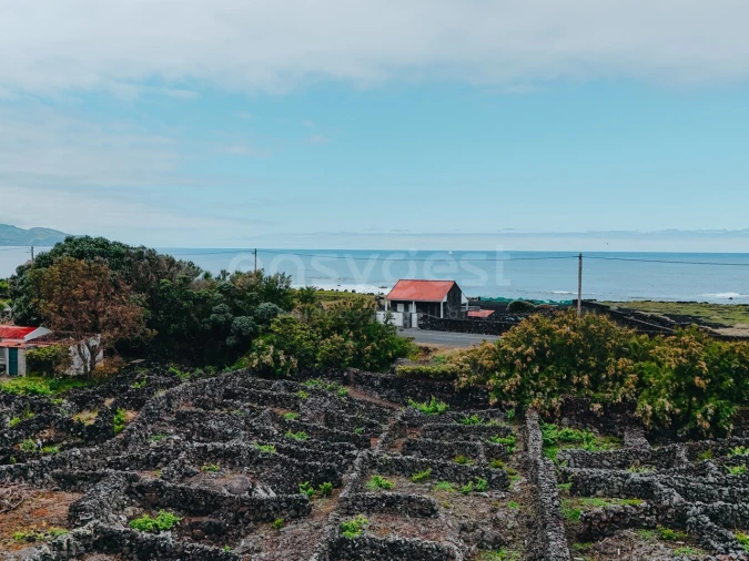 Terreno para Venda em Madalena Foto 4