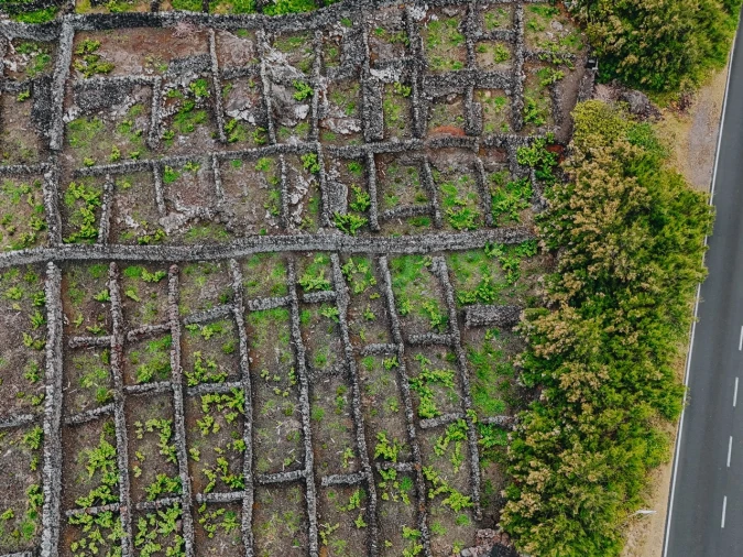 Terreno para Venda em Madalena Foto 8