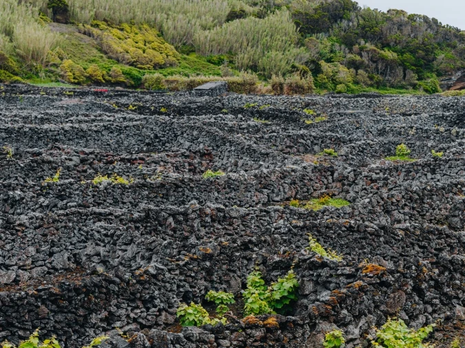 Terreno para Venda em Madalena Foto 10