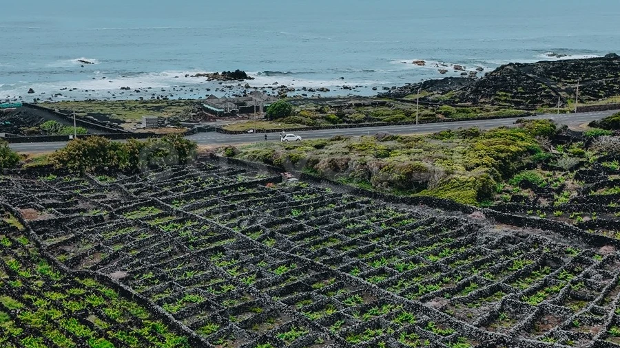 Terreno para Venda em Madalena