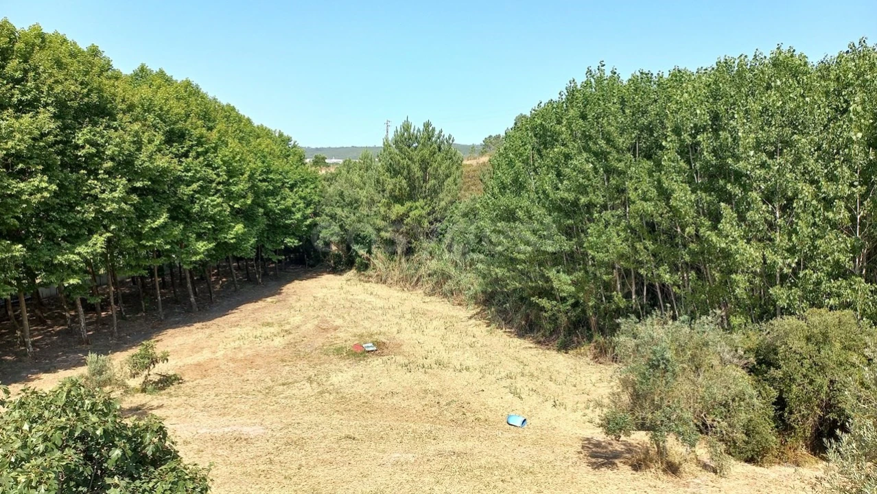 Terreno Misto para Venda em Abrã Foto 10