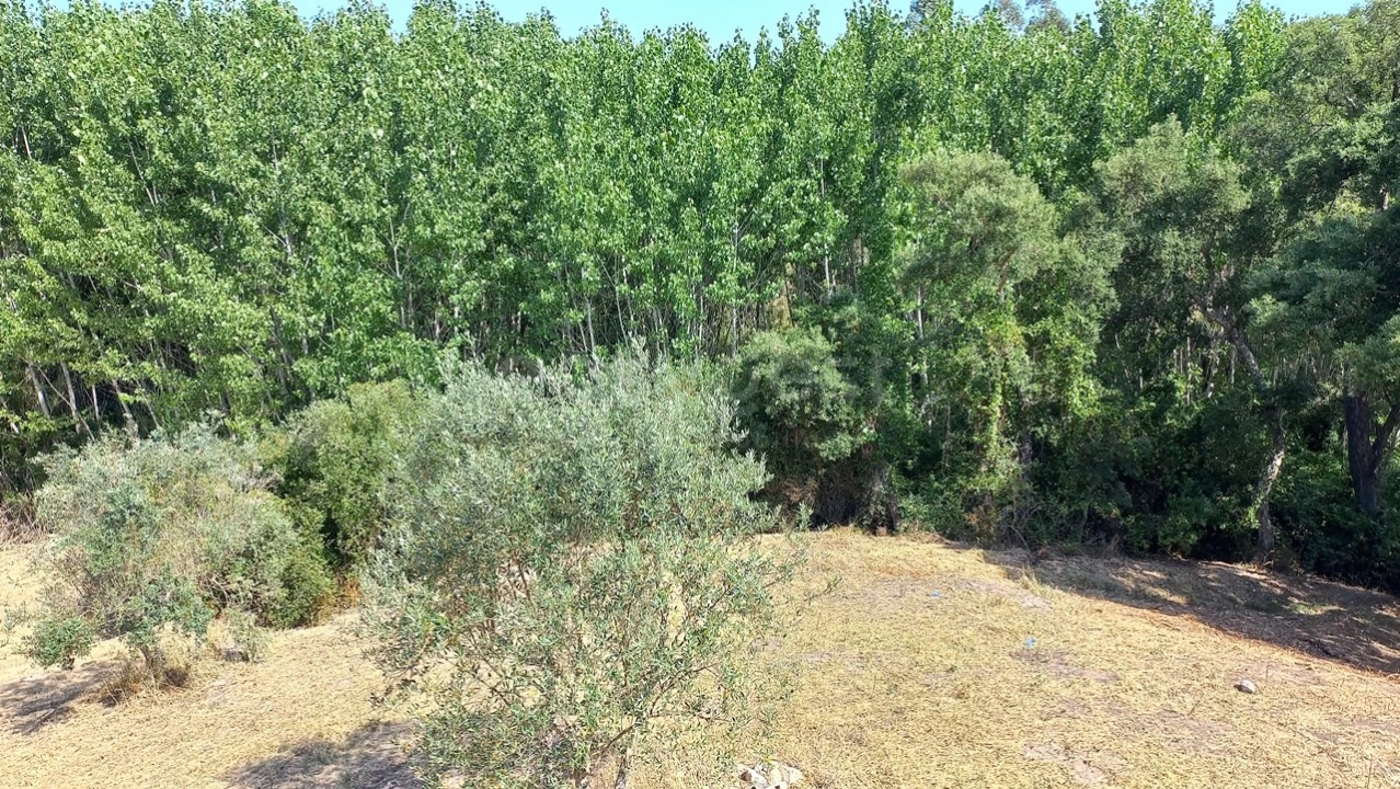 Terreno Misto para Venda em Abrã Foto 11
