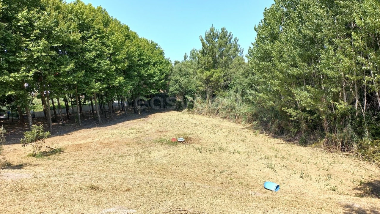 Terreno Misto para Venda em Abrã Foto 20
