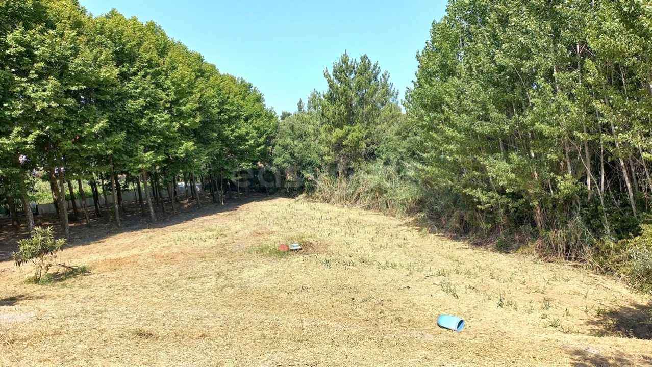 Terreno Misto para Venda em Abrã Foto 24
