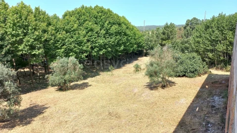 Terreno Misto para Venda em Abrã