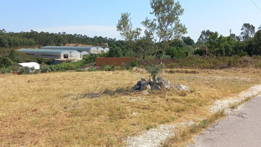Terreno Misto para Venda em Abrã Foto 28