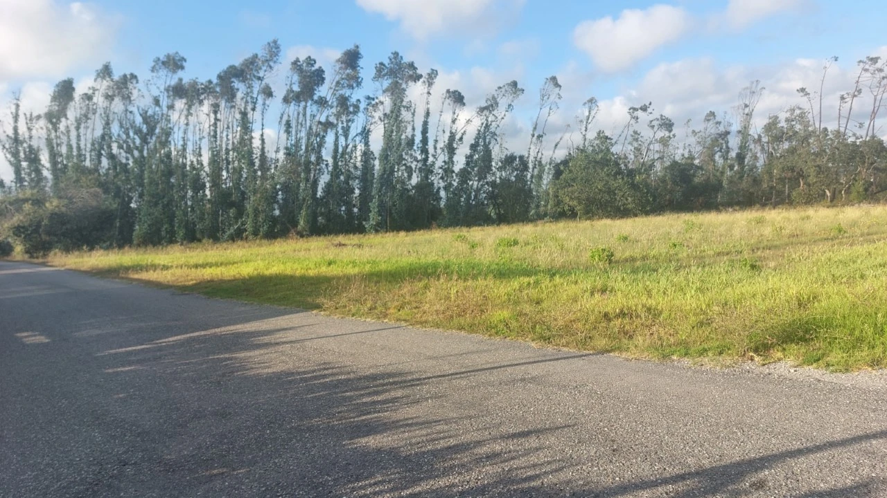 Terreno para Venda em Monte Real e Carvide Foto 1