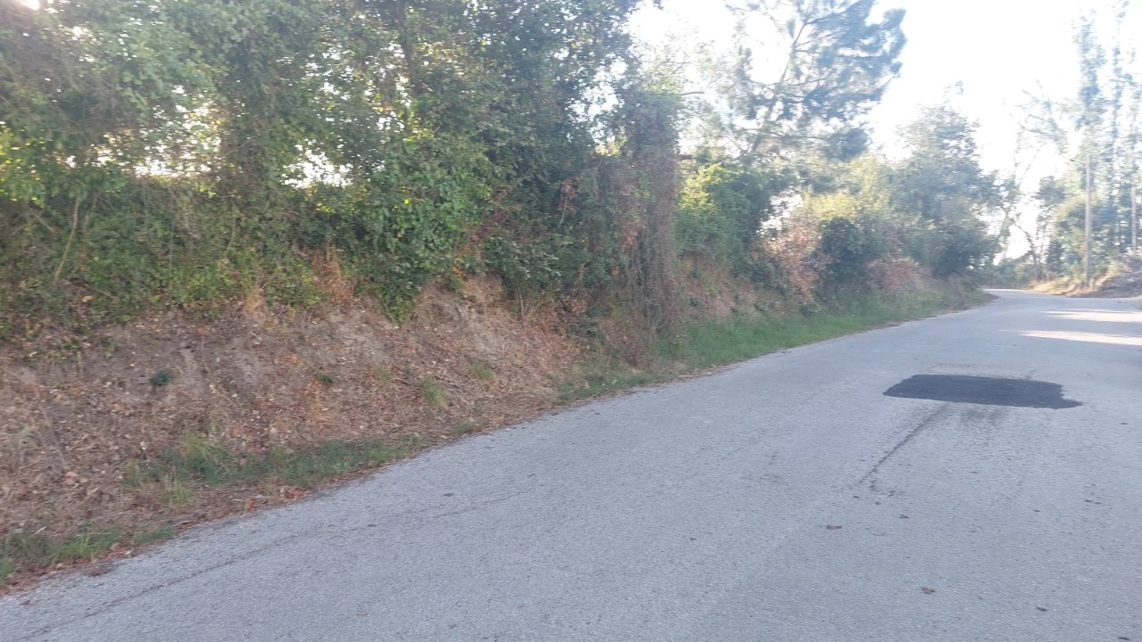 Terreno para Venda em Monte Real e Carvide Foto 6