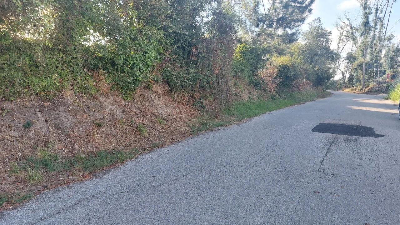 Terreno para Venda em Monte Real e Carvide Foto 7