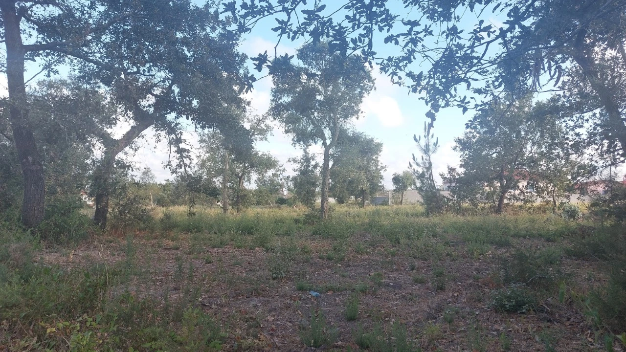 Terreno para Venda em Monte Real e Carvide Foto 9