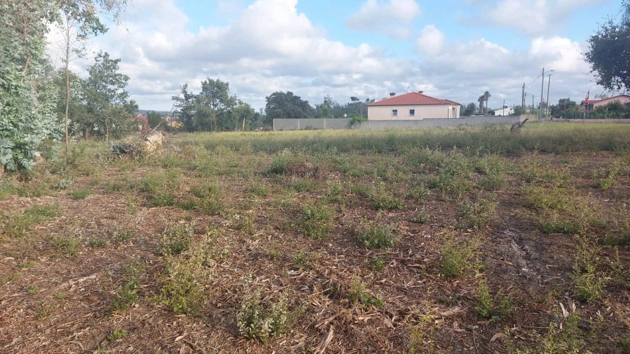 Terreno para Venda em Monte Real e Carvide Foto 10
