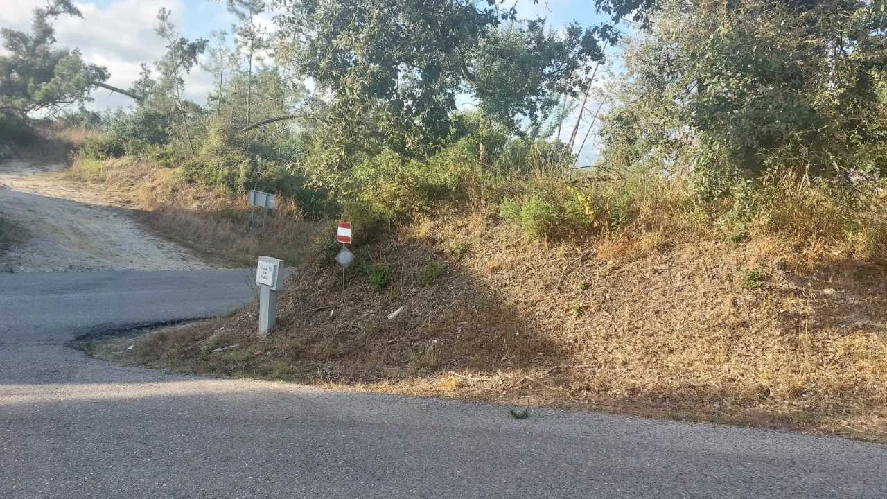 Terreno para Venda em Monte Real e Carvide Foto 11