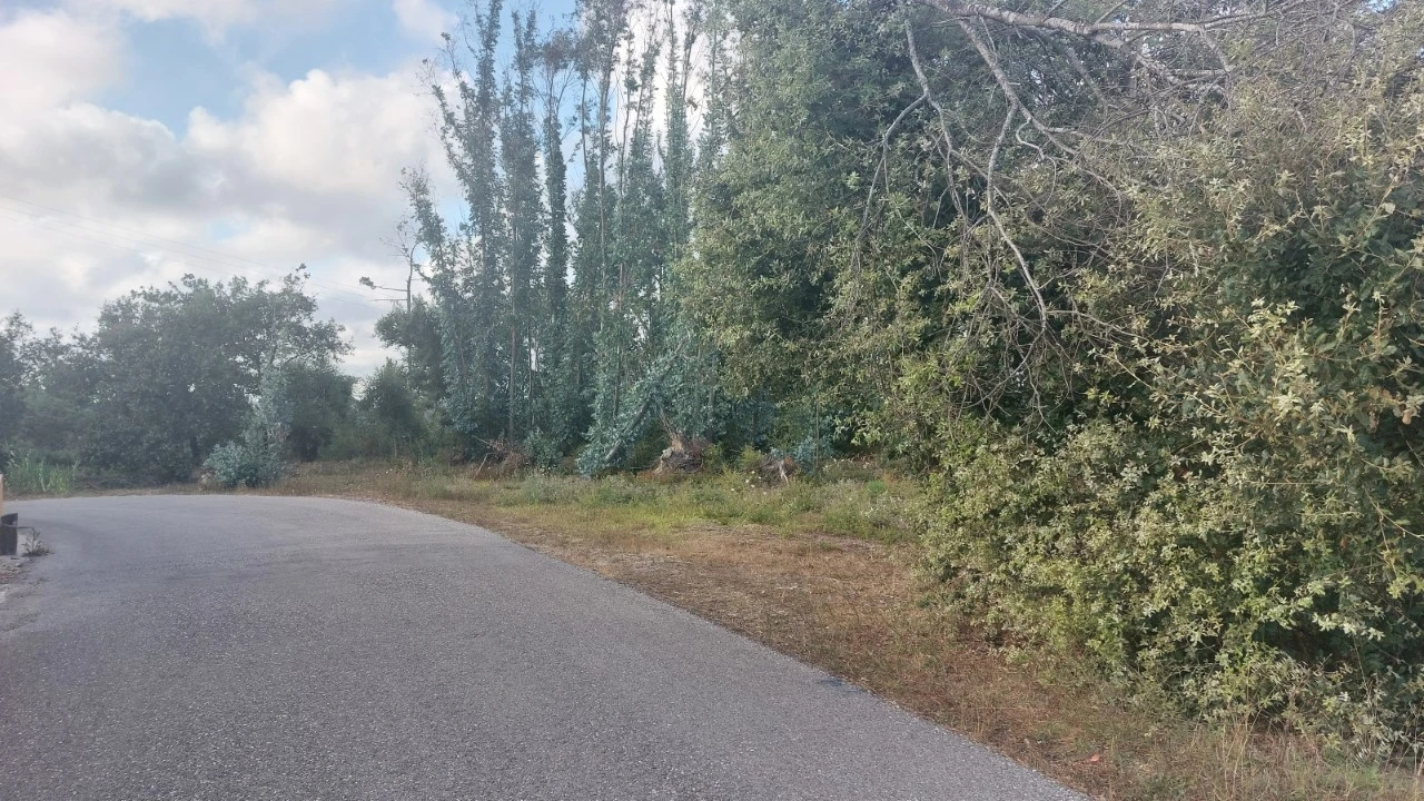 Terreno para Venda em Monte Real e Carvide Foto 12
