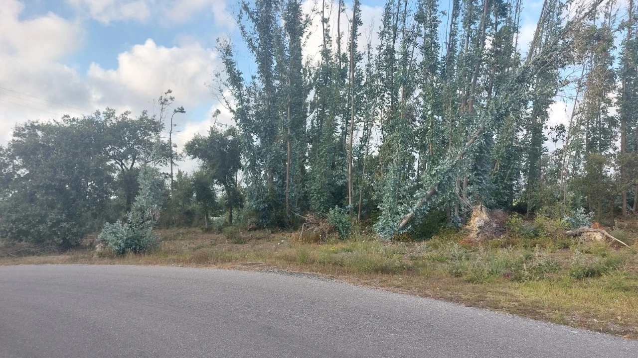 Terreno para Venda em Monte Real e Carvide Foto 13