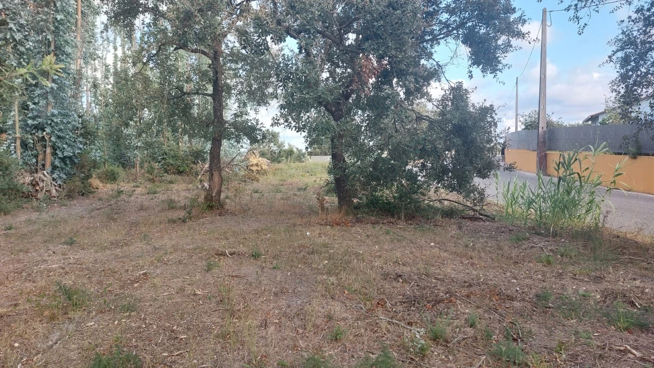 Terreno para Venda em Monte Real e Carvide Foto 16