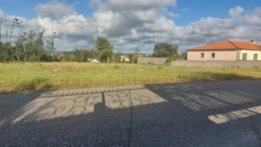 Terreno para Venda em Monte Real e Carvide Foto 3