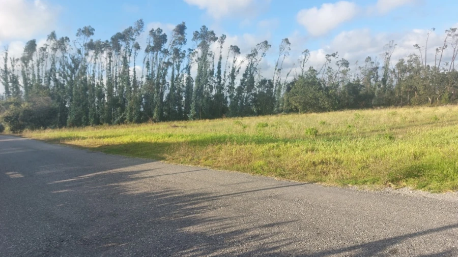 Terreno para Venda em Monte Real e Carvide