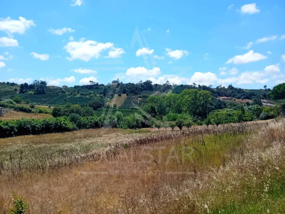 Terreno para Venda em Vidais Foto 2