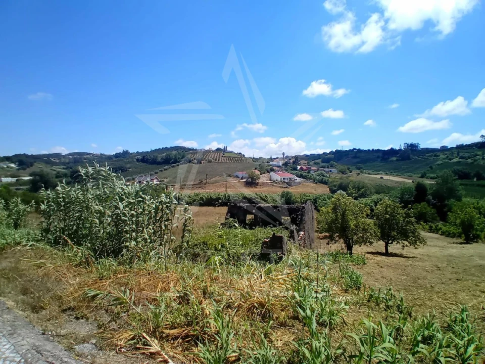 Terreno para Venda em Vidais Foto 5