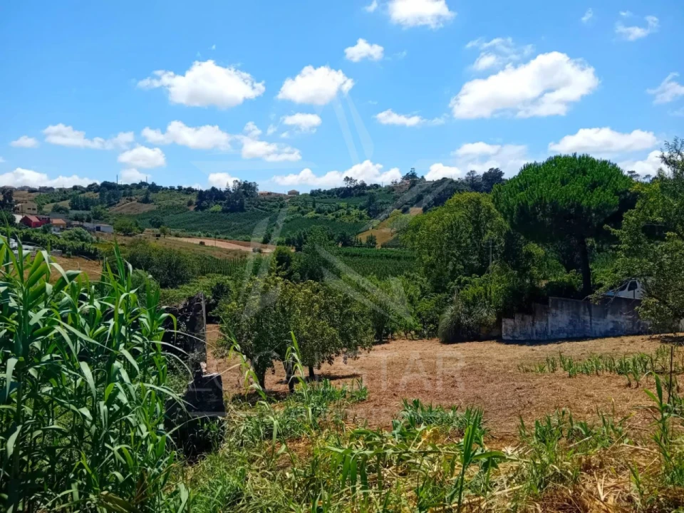 Terreno para Venda em Vidais Foto 12