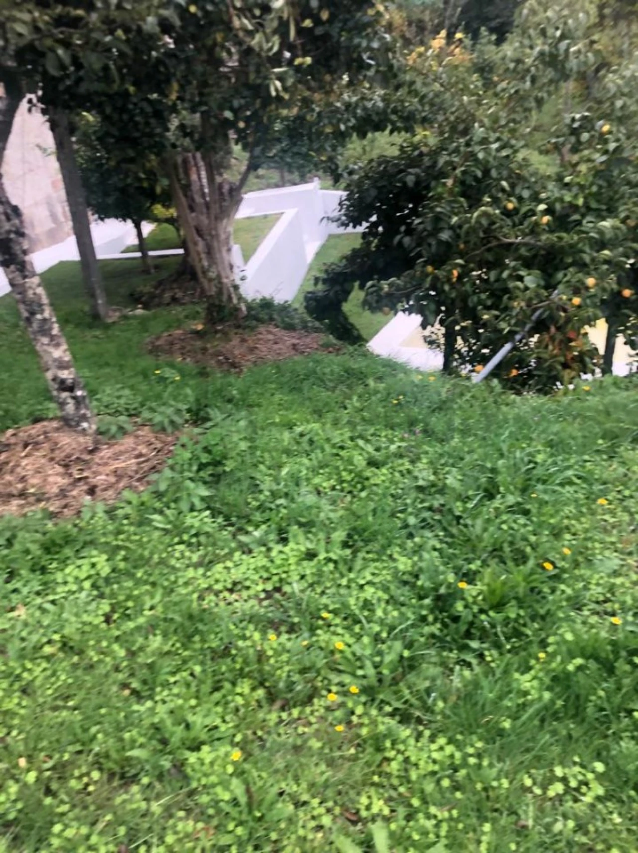 Quinta T3 para Arrendamento em Covelo do Geres Foto 12