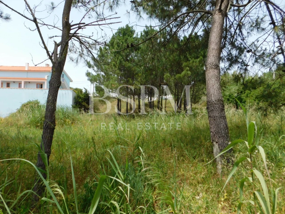 Moradia T4 para Venda em Foz do Arelho Foto 29
