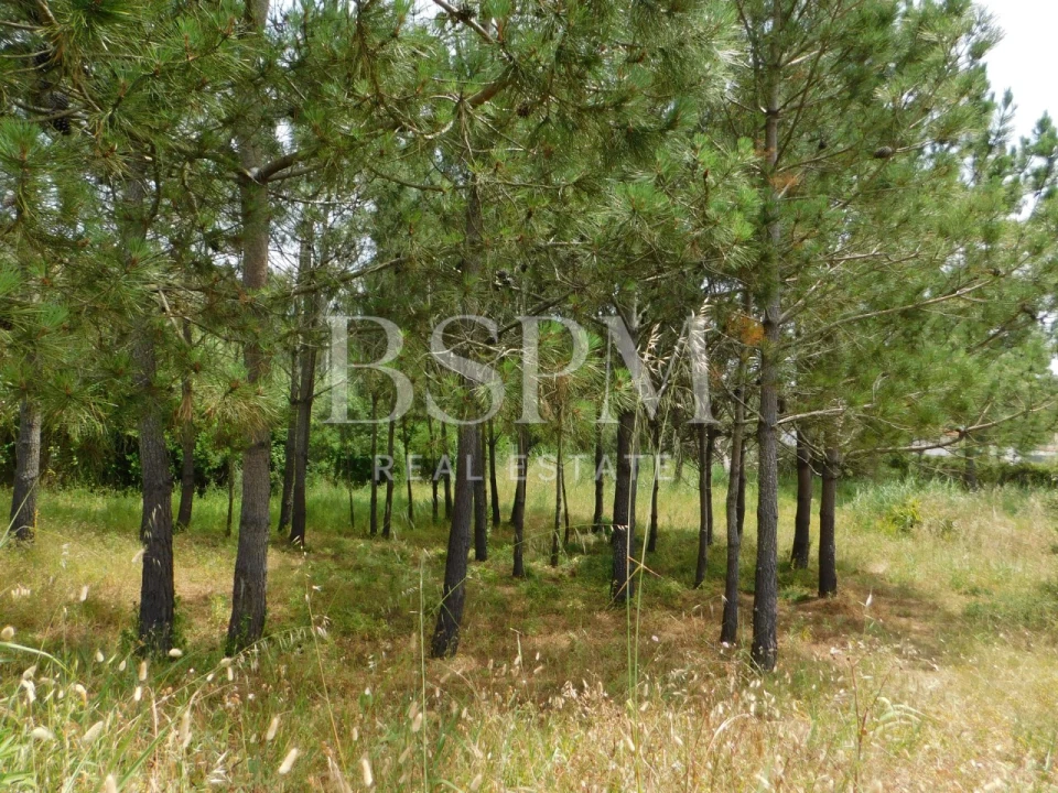 Moradia T4 para Venda em Foz do Arelho Foto 30