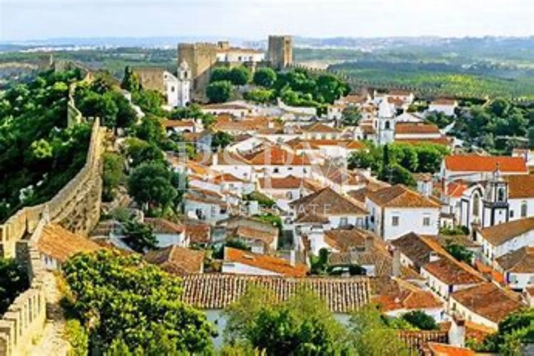 Terreno P/ Prédio para Venda em Vau Foto 22