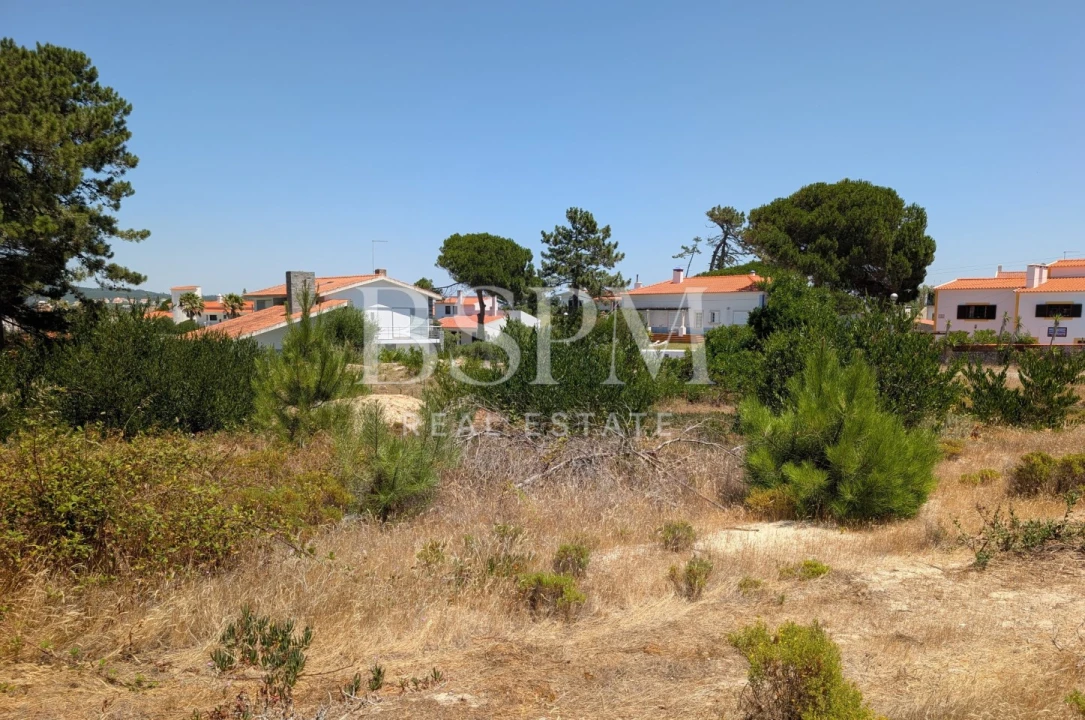 Terreno P/ Prédio para Venda em Vau Foto 11