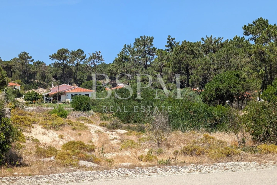 Terreno P/ Prédio para Venda em Vau Foto 12