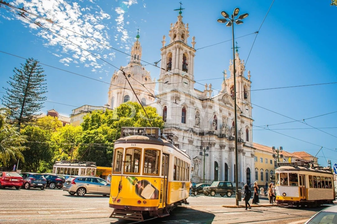 Terreno P/ Prédio para Venda em Vau Foto 29