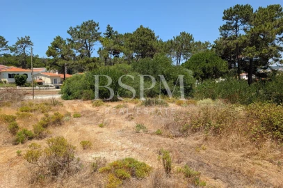 Terreno P/ Prédio para Venda em Vau
