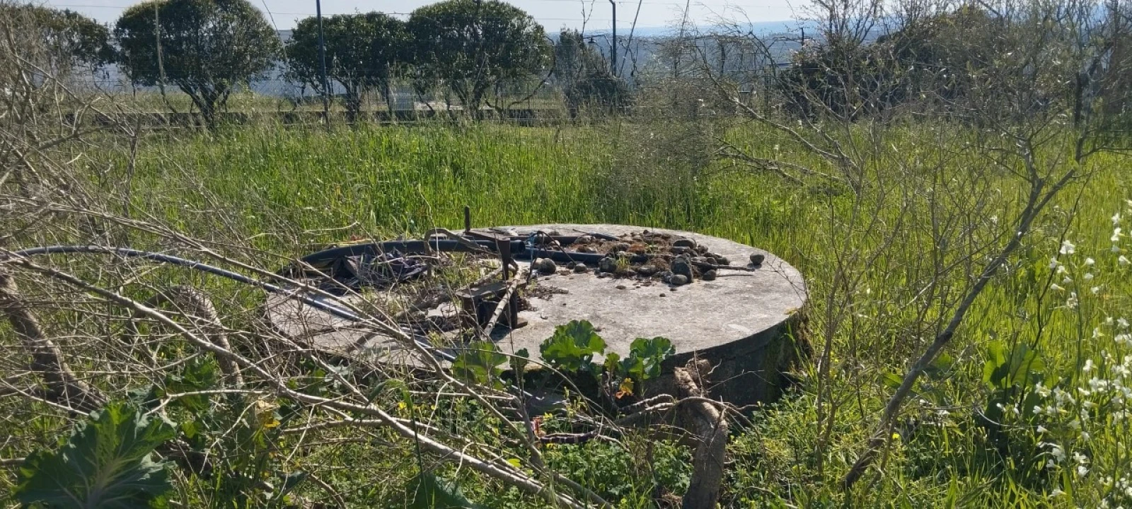 Terreno para Venda em Souto da Carpalhosa e Ortigosa Foto 4