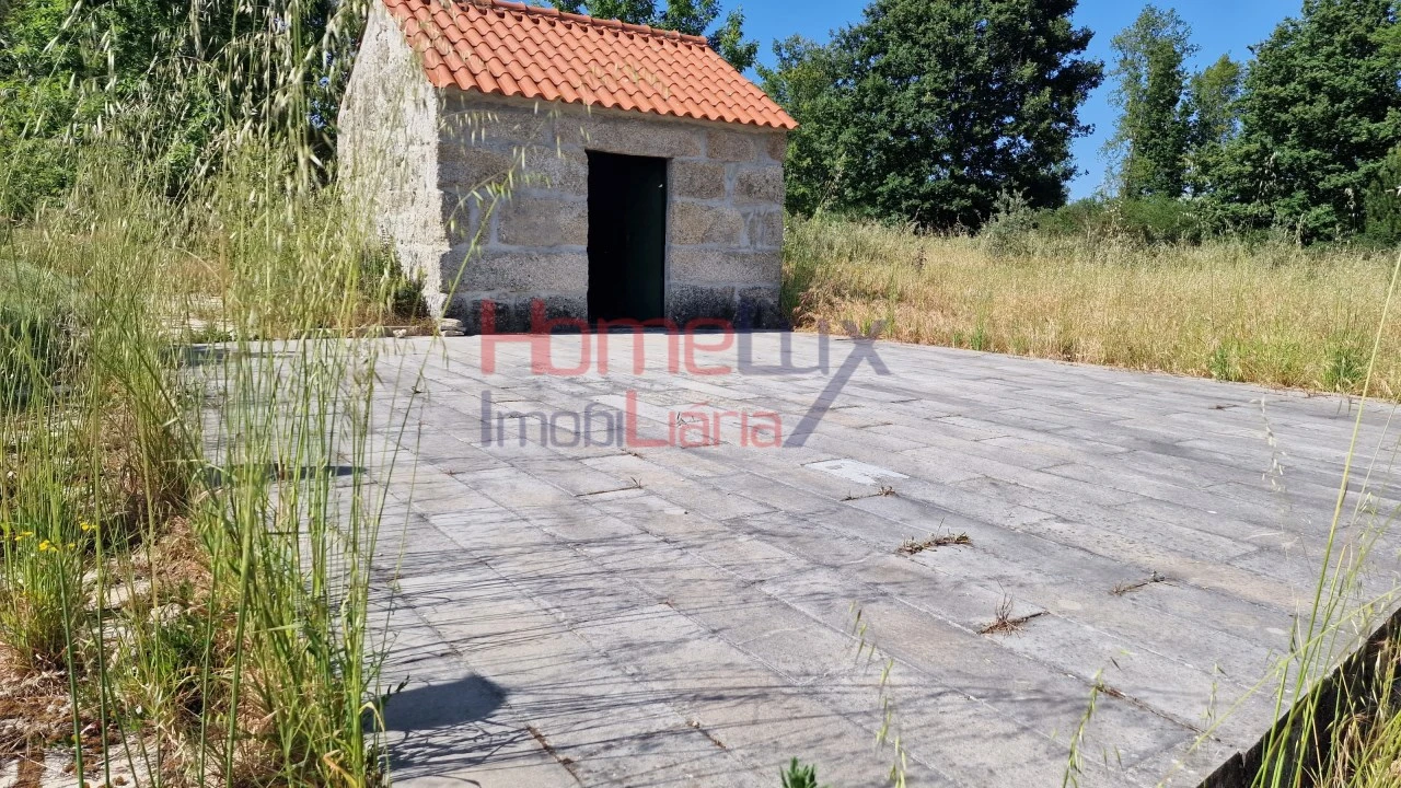 Terreno Agricola ou Rústico para Venda em Santar e Moreira Foto 3