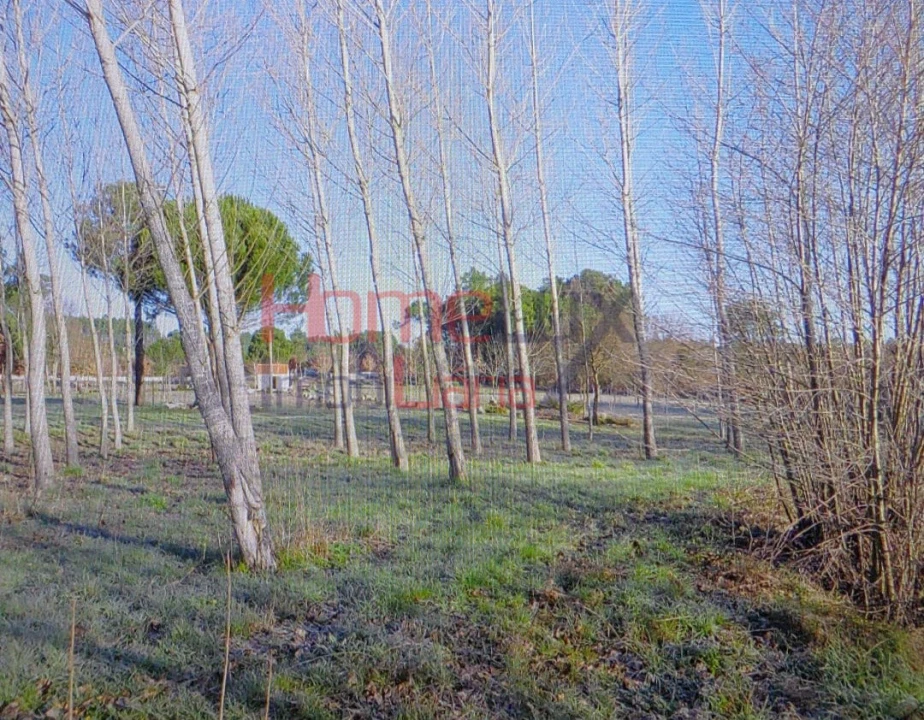 Terreno Agricola ou Rústico para Venda em Santar e Moreira Foto 5