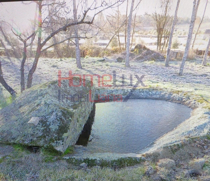 Terreno Agricola ou Rústico para Venda em Santar e Moreira Foto 15