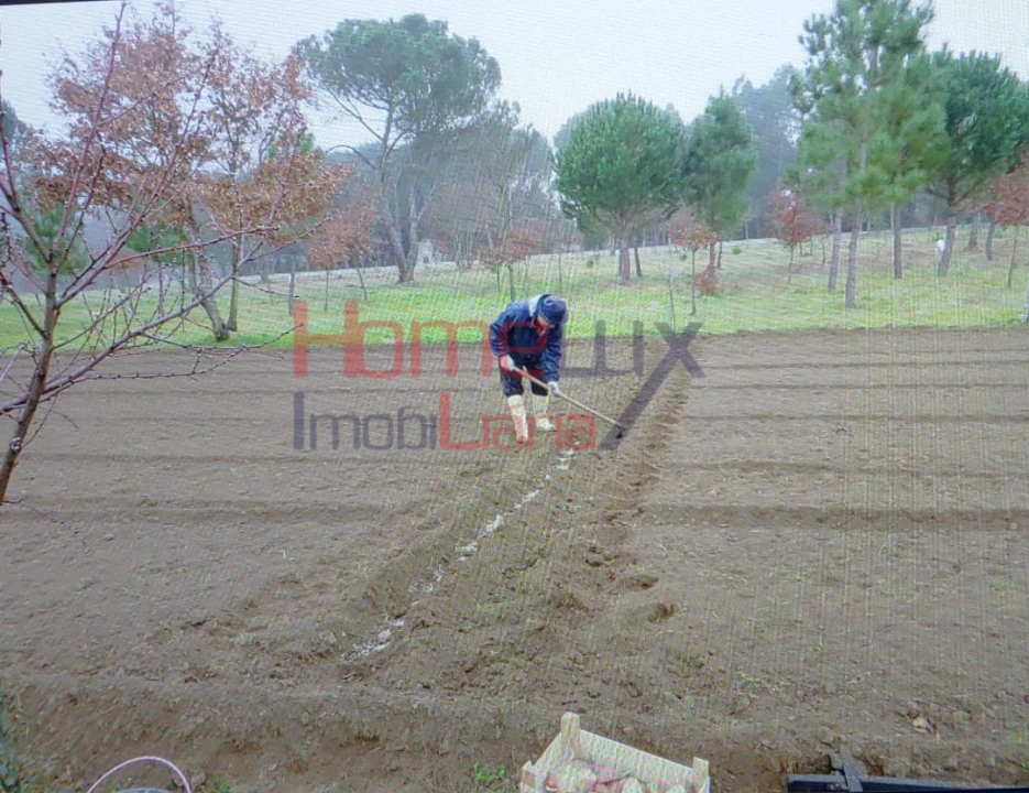 Terreno Agricola ou Rústico para Venda em Santar e Moreira Foto 16