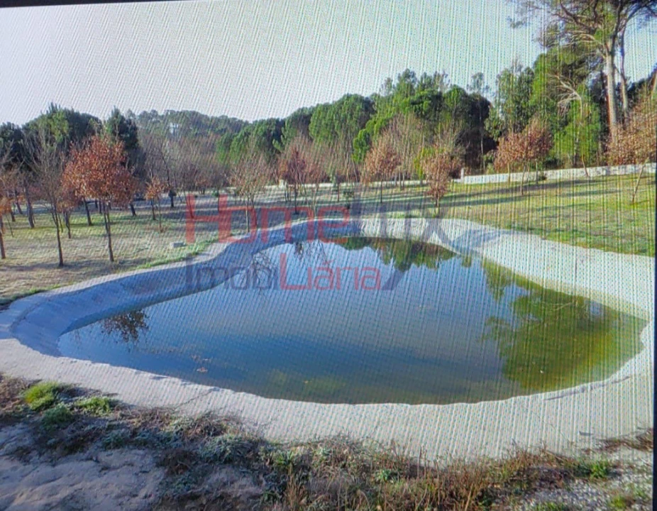 Terreno Agricola ou Rústico para Venda em Santar e Moreira Foto 18