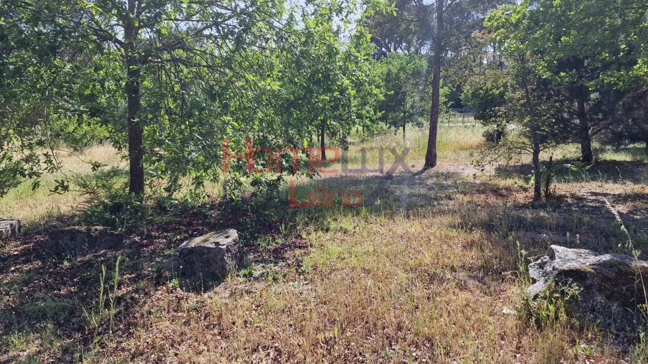 Terreno Agricola ou Rústico para Venda em Santar e Moreira Foto 21