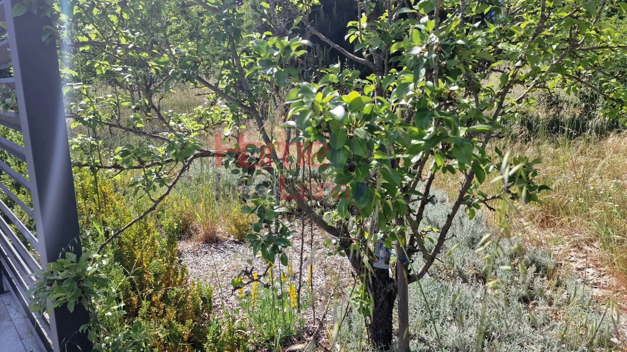 Terreno Agricola ou Rústico para Venda em Santar e Moreira Foto 26