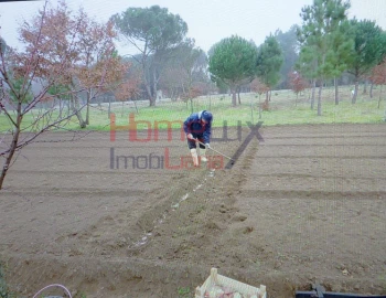 Terreno Agricola ou Rústico para Venda em Santar e Moreira