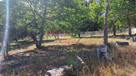 Terreno Agricola ou Rústico para Venda em Santar e Moreira