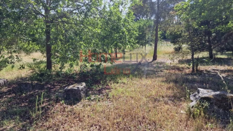 Terreno Agricola ou Rústico para Venda em Santar e Moreira