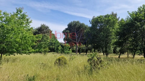 Terreno Agricola ou Rústico para Venda em Santar e Moreira