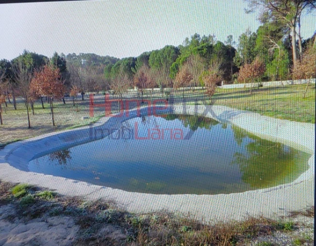 Terreno Agricola ou Rústico para Venda em Santar e Moreira Foto 18