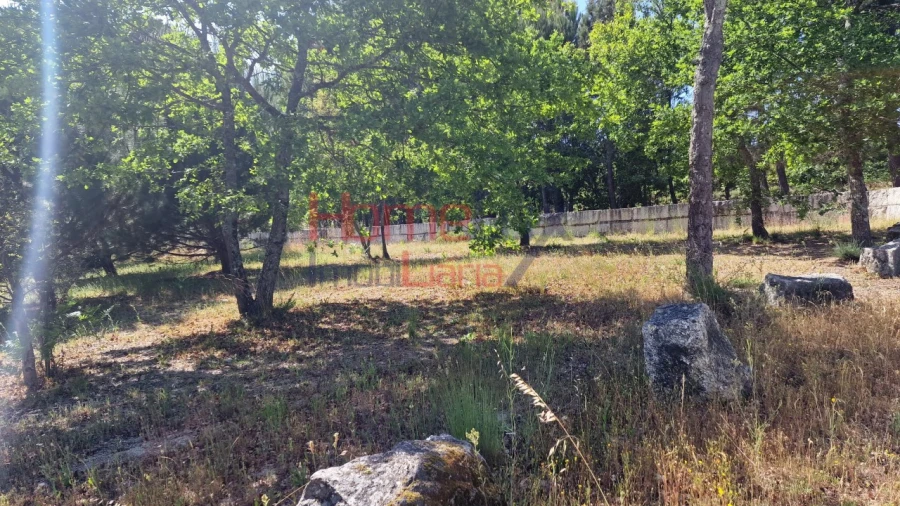Terreno Agricola ou Rústico para Venda em Santar e Moreira Foto 20