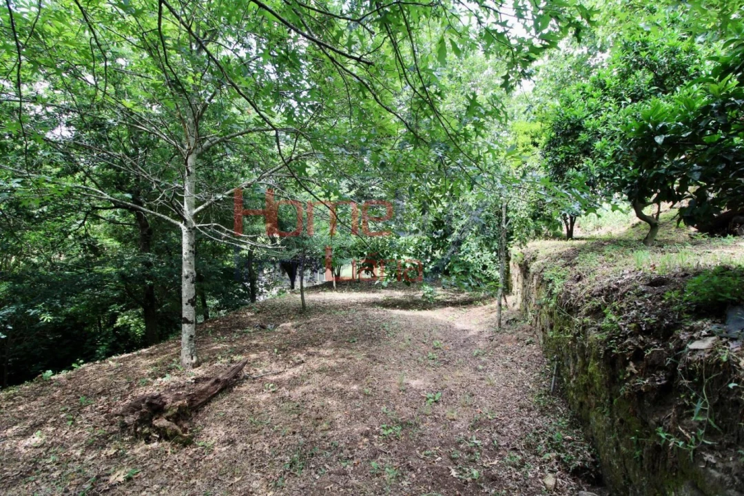 Moradia T4 para Venda em Parada de Todeia Foto 44