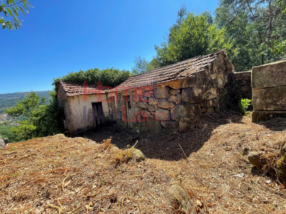 Terreno para Venda em Espadanedo Foto 6